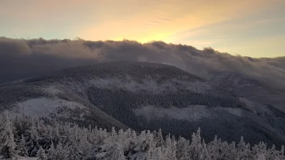 Pnnn - @Pnnn: w tym roku jak co roku wybieramy się w okolice świąt, na 3 i pół dnia, ...