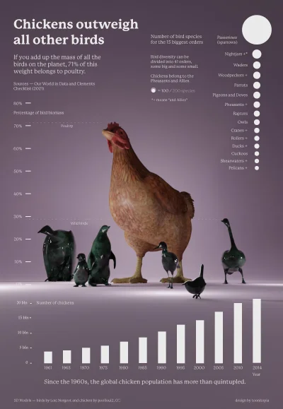 Lifelike - #graphsandmaps #biologia #ornitologia #ptaki #ciekawostki