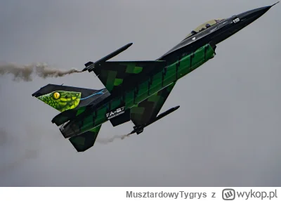 MusztardowyTygrys - Belgijska Żmija z Radomia
#fotografia #airshow