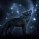 Black_Wolf