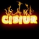 Cisiur