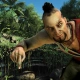 Vaas