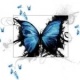 butterfly