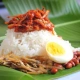 nasi-lemak