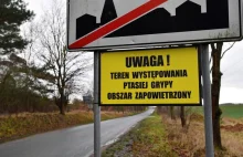 Oszczeklin. Ptasia grypa w Wielkopolsce. Zagazowanych zostanie 37 tysięcy sztuk