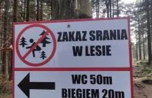 Zakaz srania w lesie. Dobitny komunikat do odwiedzających