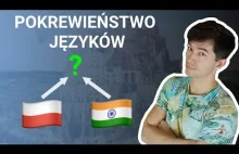 Pokrewieństwo Języków - Dlaczego język polski brzmi podobnie do języka hindi?