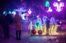 Burmistrz wydzierżawił miejski park na ponad 3 lata. Bez wiedzy radnych