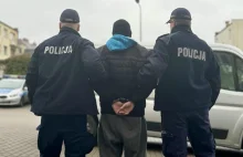 Brawurowa akcja polskiej policji - Policjanci obezwładnili samotnego krzaka