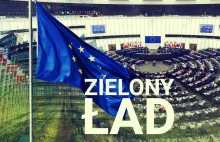 UE wprowadzi "kolczykowanie drzew"? Każdy kawałek drewna z kartą informacyjną