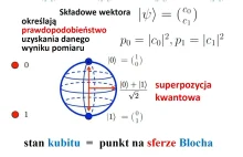 Typowe i atypowe struktury w teorii kwantowej