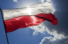 Polska flaga niebezpieczna dla planety i zwierząt?! Odlot "ekologów" z okazji 11