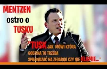 Mentzen ostro o Tusku na wiecu wyborczym w Kłobucku