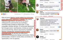 Schronisko na paluchu usuwa negatywne komentarze o pitbullach