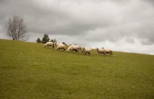 Punkty widokowe na Tatry, do których dojedziesz samochodem