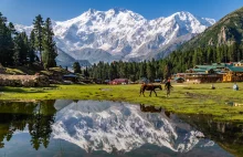 Fairy Meadows - pakistańskie miejsce jak z bajki