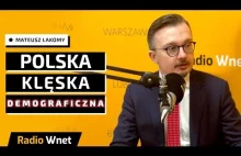 Polska klęska demograficzna.