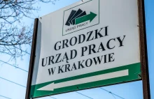 W Krakowie przeważają bezrobotni z wyższym wykształceniem. Najwięcej osób bez pr