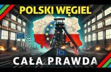 Dlaczego POLSKI WĘGIEL jest NAJDROŻSZY na ŚWIECIE?