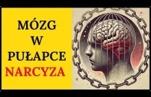 Jak przem0c narcystyczna niszczy Twój mózg?