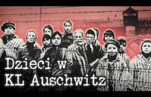 Zbrodnia na najmłodszych. Historia dzieci w KL Auschwitz