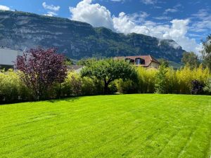 gazon-vert-xavier-paysagiste-suisse