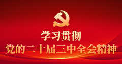 学习贯彻党的二十届三中全会精神