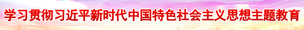 学习贯彻习近平新时代中国特色社会主义思想主题教育