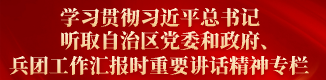 学习贯彻习近平总书记听取自治区党委和政府、兵团工作汇报时重要讲话精神专栏