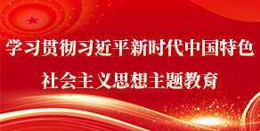 学习贯彻习近平新时代中国特色社会主义思想主题教育