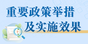 重要政策举措及实施效果