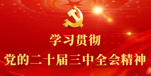 学习贯彻党的二十届三中全会精神