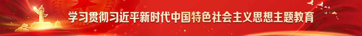 学习贯彻习近平新时代中国特色社会主义思想主题教育