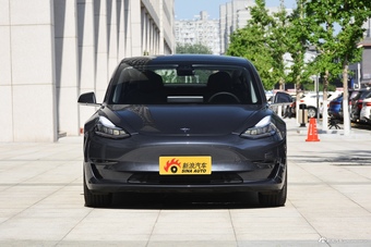 2020款特斯拉改款Model 3 长续航后轮驱动版 