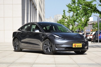 2020款特斯拉改款Model 3 长续航后轮驱动版 