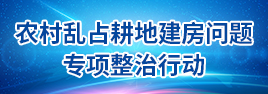 农村乱占耕地建房问题专项整治行动