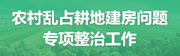 农村乱占耕地建房问题专项整治工作