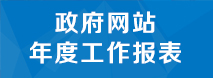 政府网站年度工作报表