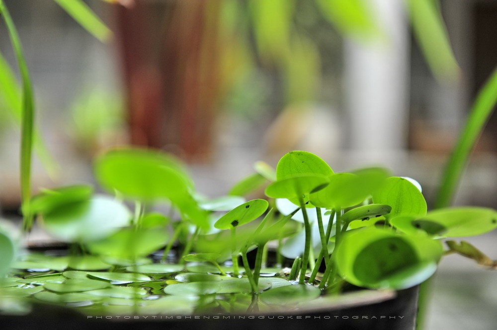 【原创】古山重水云间，田园牧歌的诗意栖居