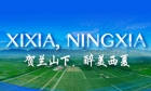 Xixia, Ningxia