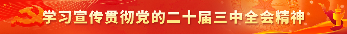 学习宣传贯彻党的二十届三中全会精神