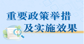 
                                    重要政策举措及实施效果