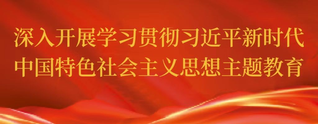 深入开展学习贯彻习近平新时代中国特色社会主义思想主题教育