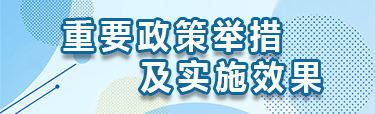 重要政策措施及实施效果