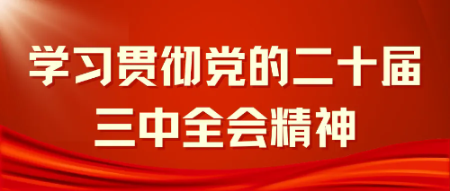 学习贯彻党的二十届三中全会精神