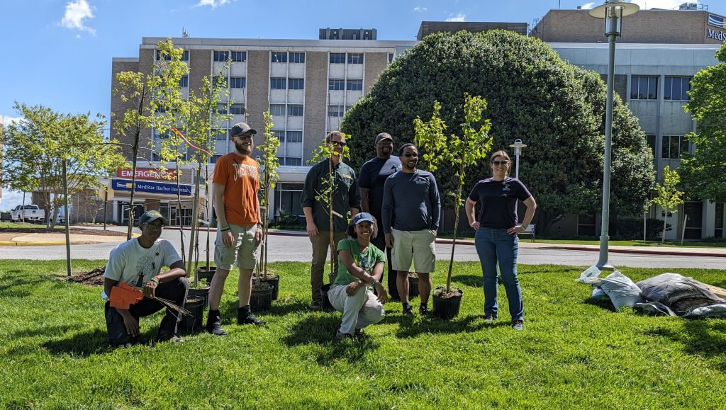 A group of volunteers stand with trees in front of a hospital building