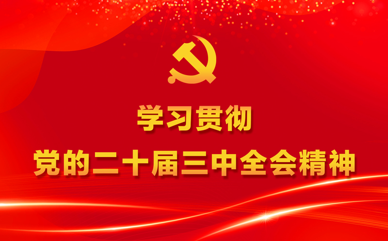 学习贯彻党的二十届三中全会精神