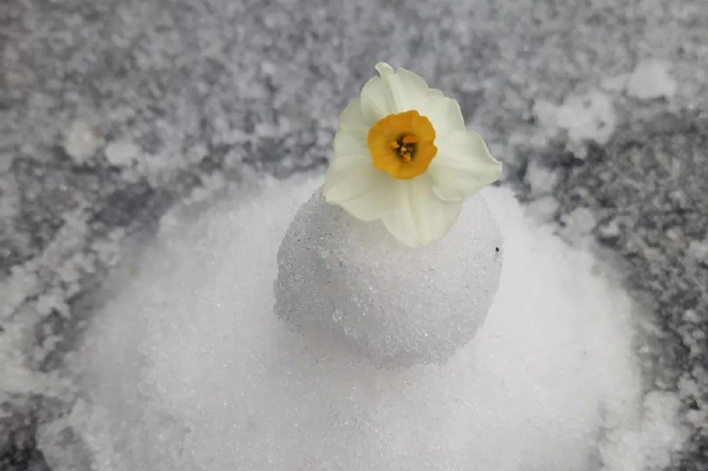 昨日“厦门下雪”上热搜，但气象部门说未观测到降雪