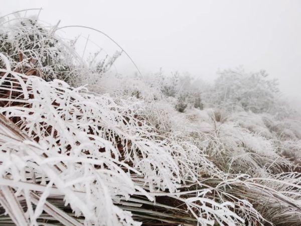 福建今春第一场雪马上“到货”！