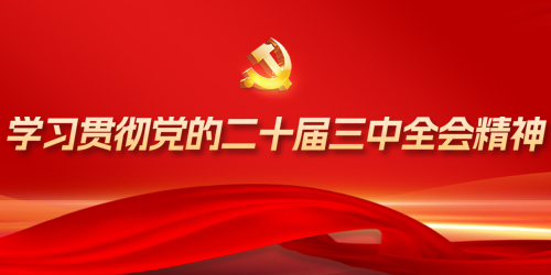 【专题】学习贯彻党的二十届三中全会精神